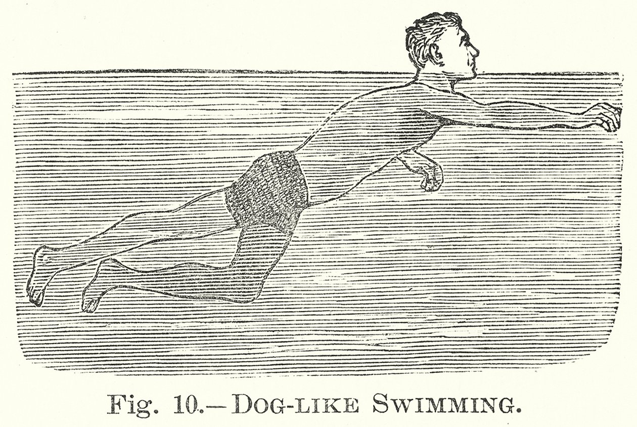 Nager comme un chien (gravure) - English School