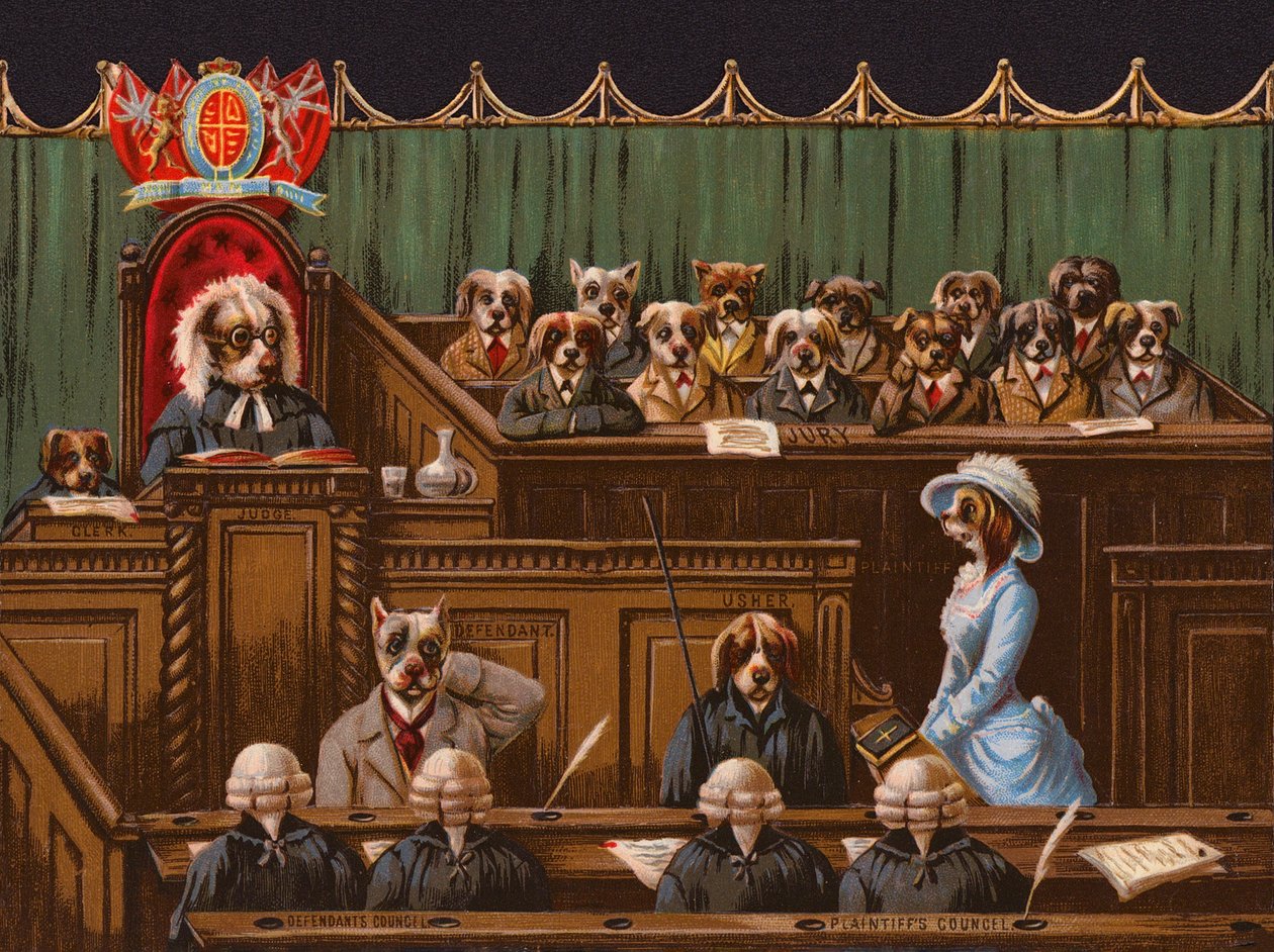 Chiens dans une salle d