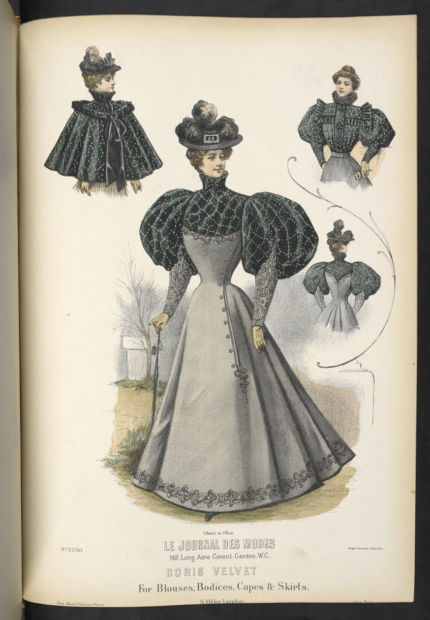 Velours Doris pour chemisiers, corsages, capes et jupes, 1895 - English School