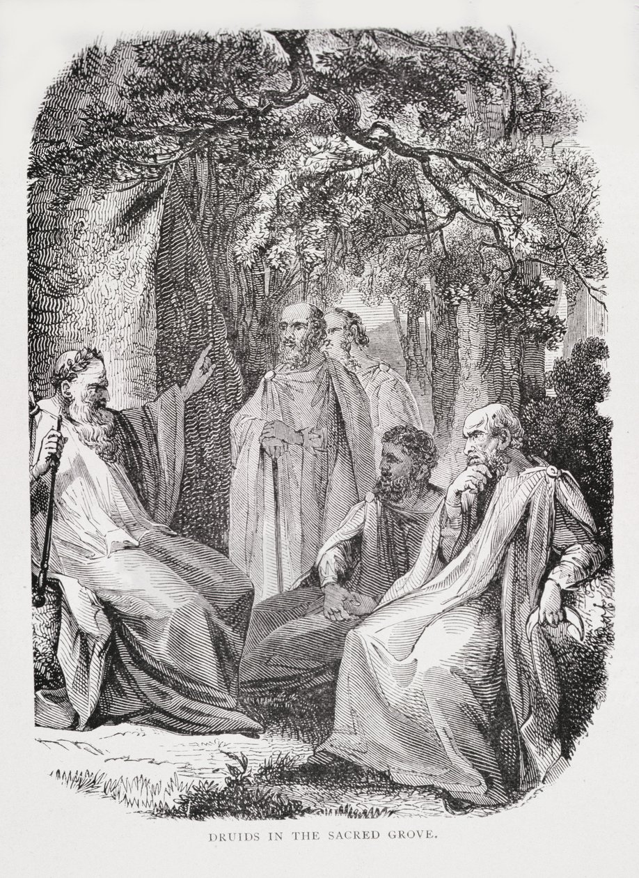 Druides dans le bosquet sacré, de L