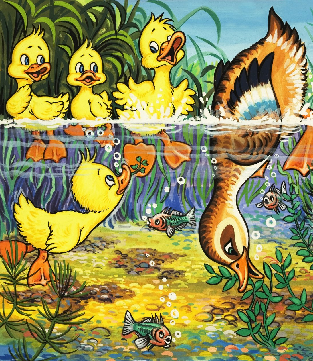 Canard et canetons (gouache sur papier) - English School