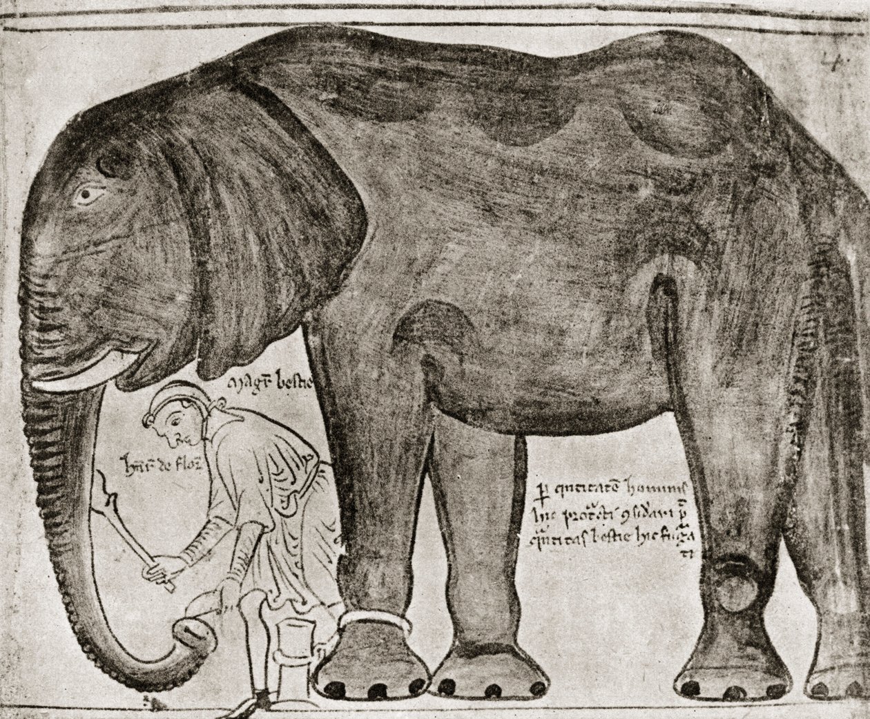 Éléphant envoyé par Saint Louis à Henri III, extrait de "Historia Major", reproduit dans "English Historians". - English School