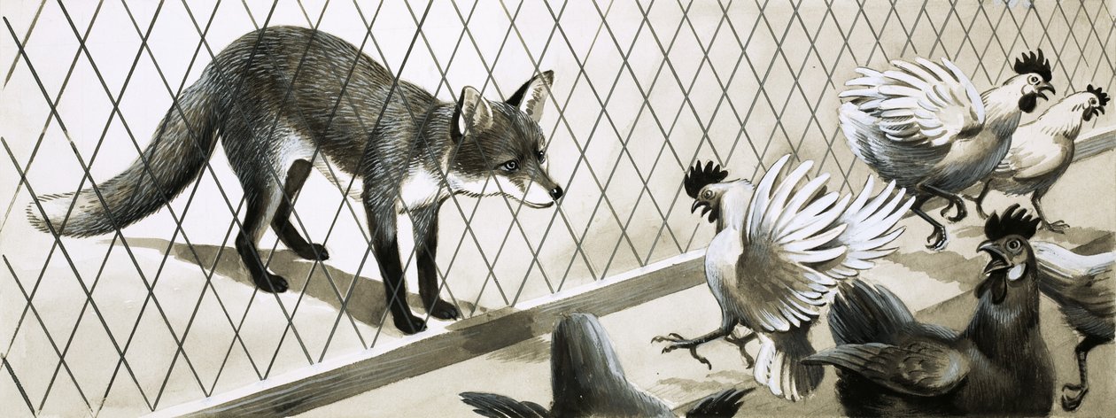 Un renard à l