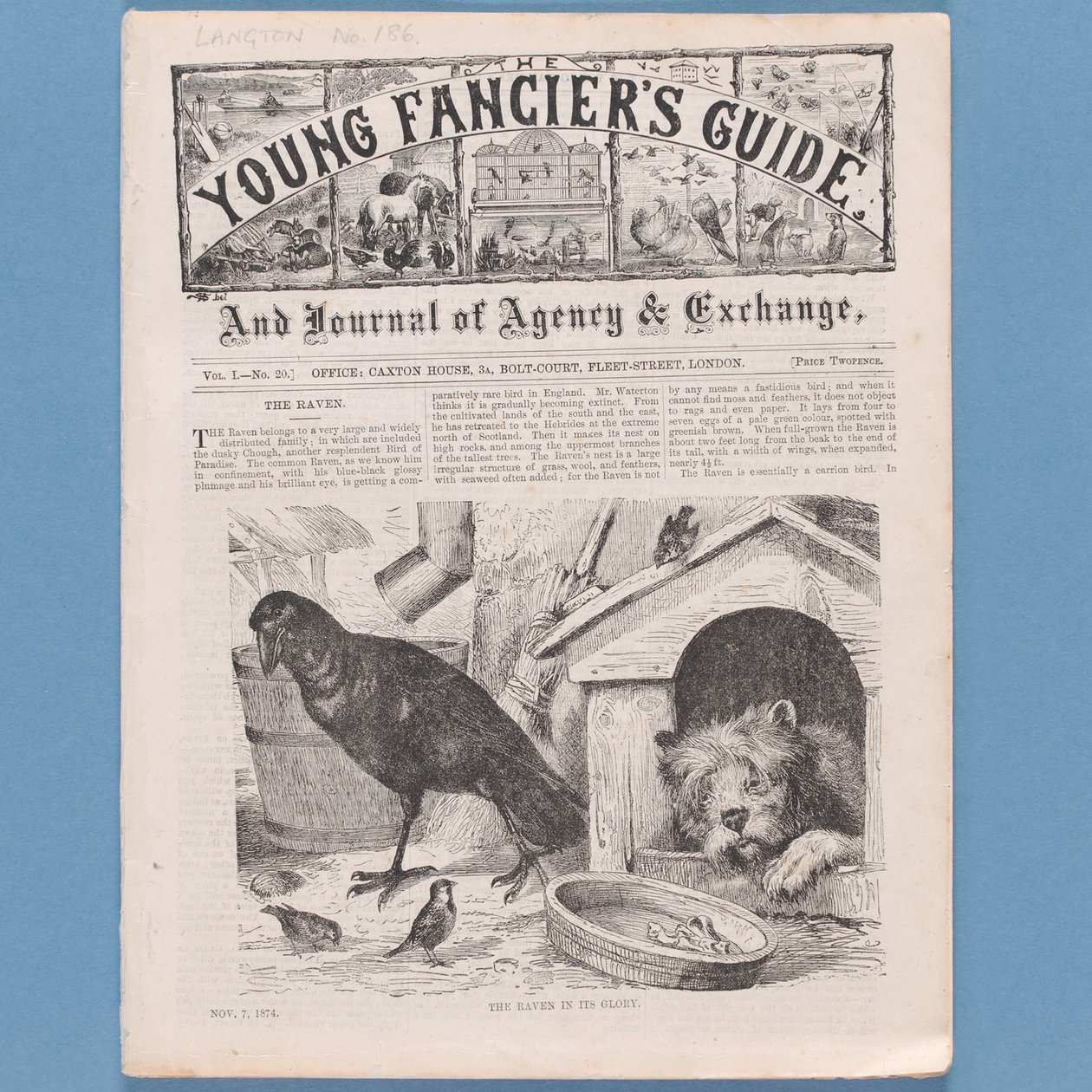 Frontispice de The Young Fanciers Guide, 1874 - English School