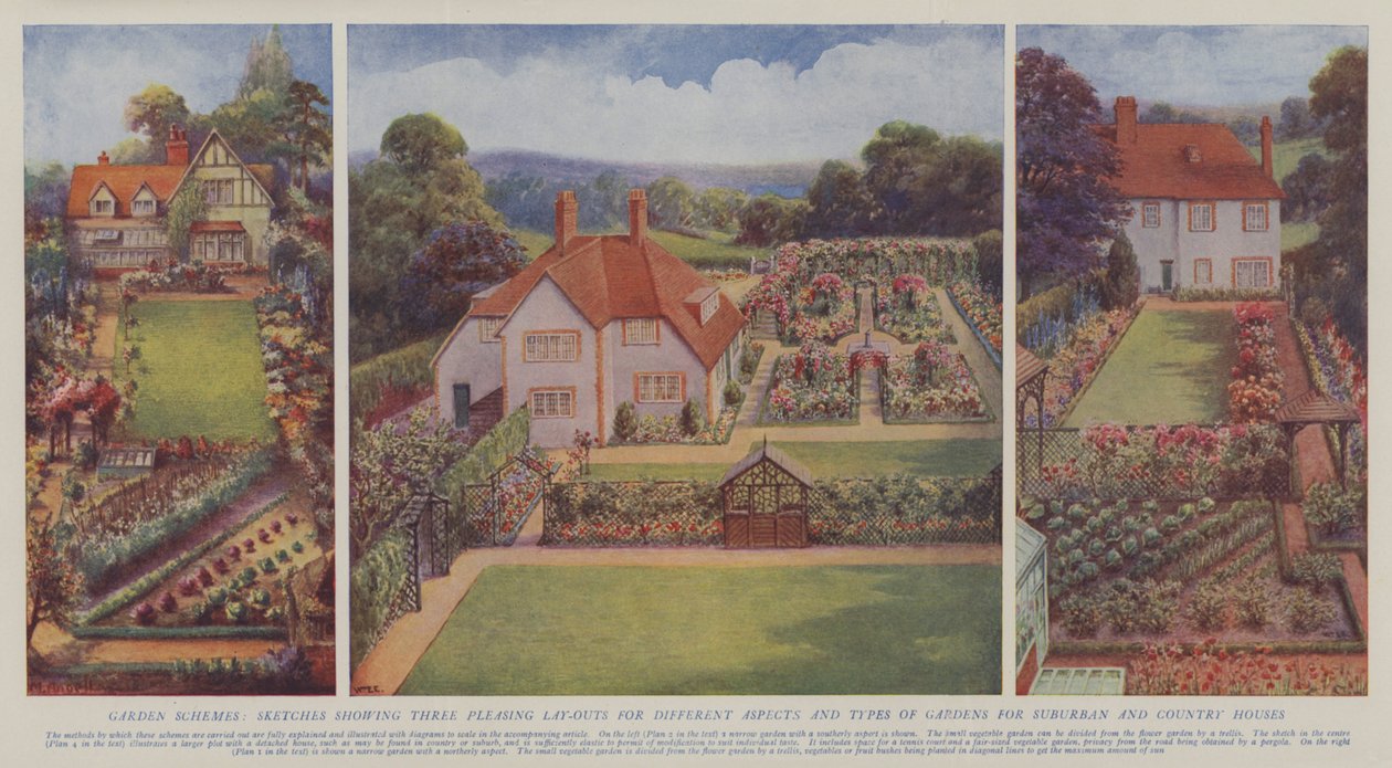 Schémas de jardins, croquis montrant trois dispositions agréables pour différents aspects et types de jardins pour les maisons de banlieue et de campagne (litho couleur) - English School