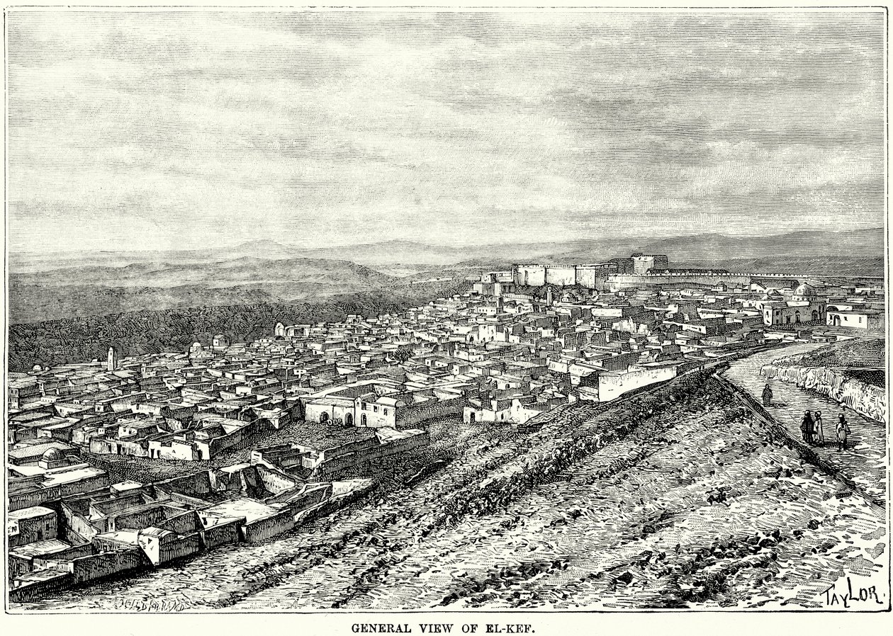 Vue générale d