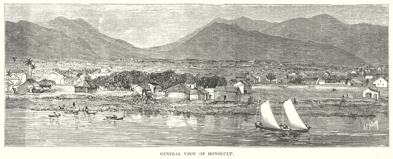 Vue générale d