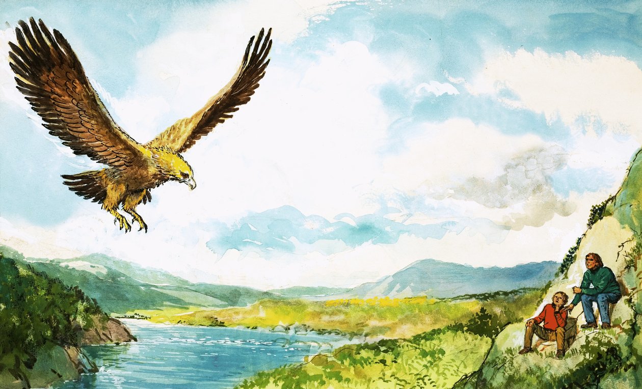 Aigle royal - English School