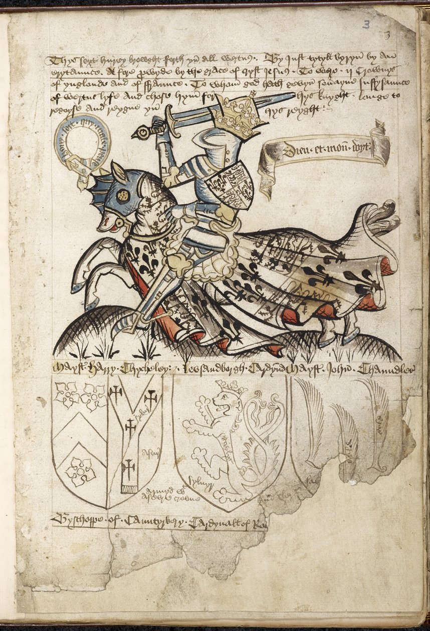 Henri VI à cheval, Armoiries à l