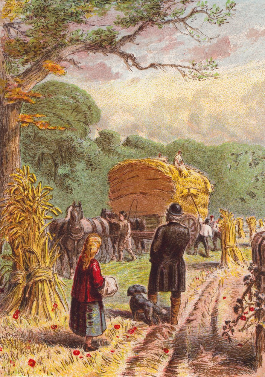 Récolte dans les champs (lithographie couleur) - English School