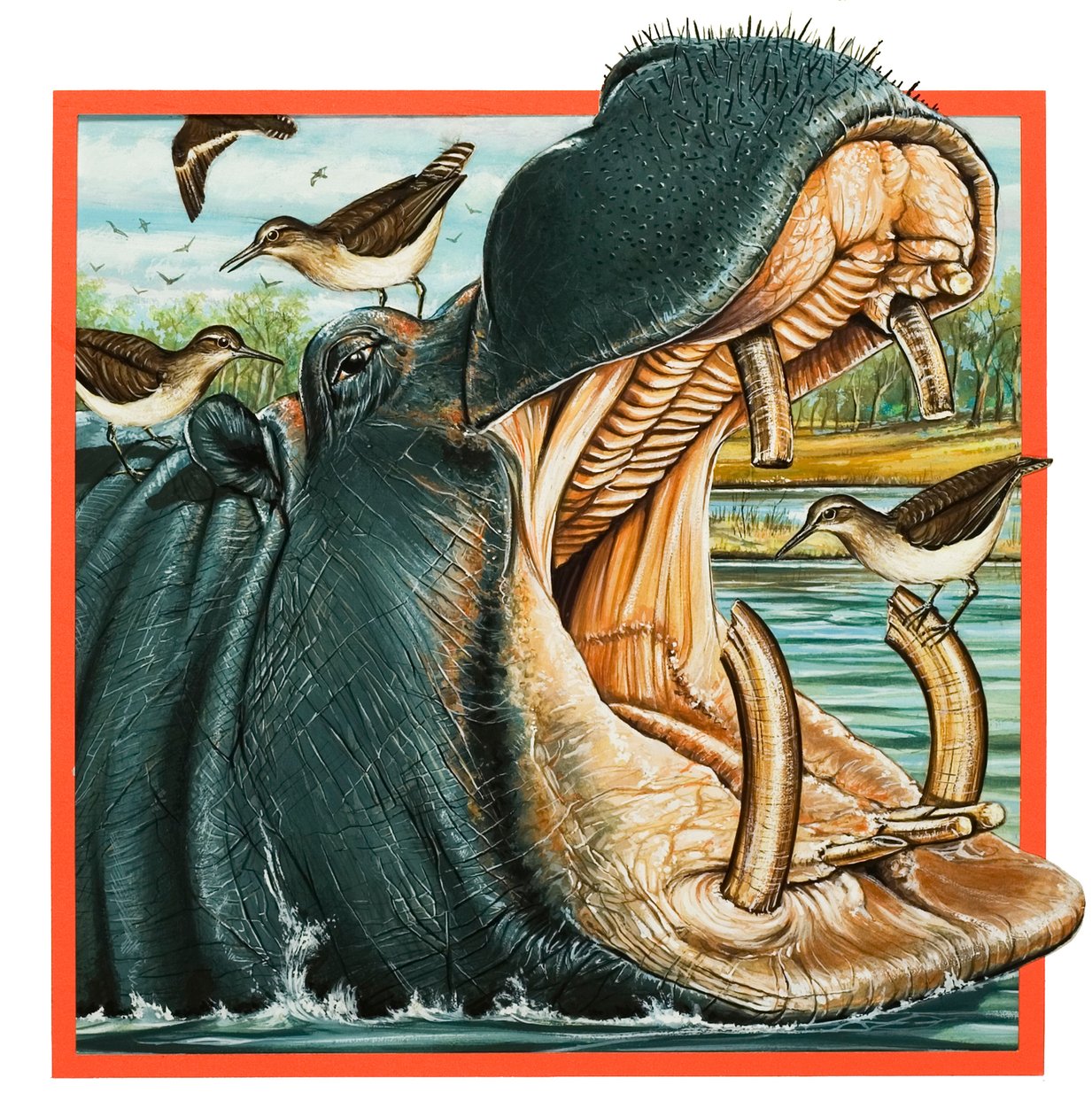 Hippopotamus (goauche on paper) - English School