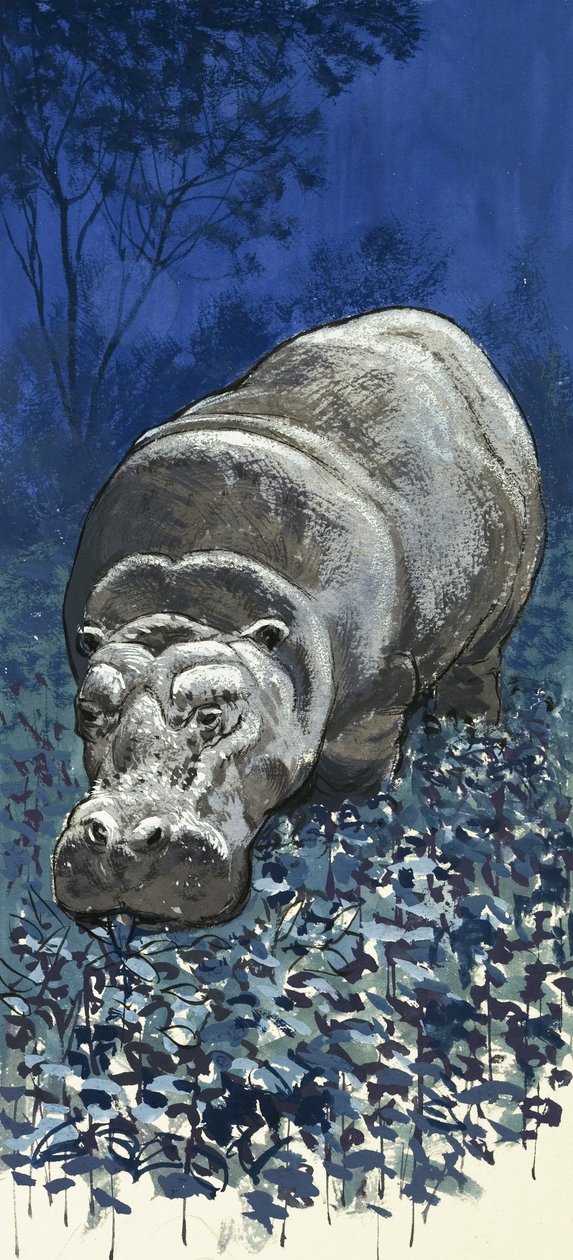Hippopotame - English School
