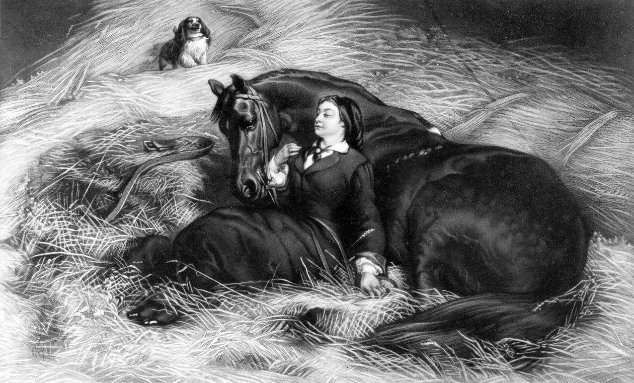 Illustration de Fille avec cheval, d