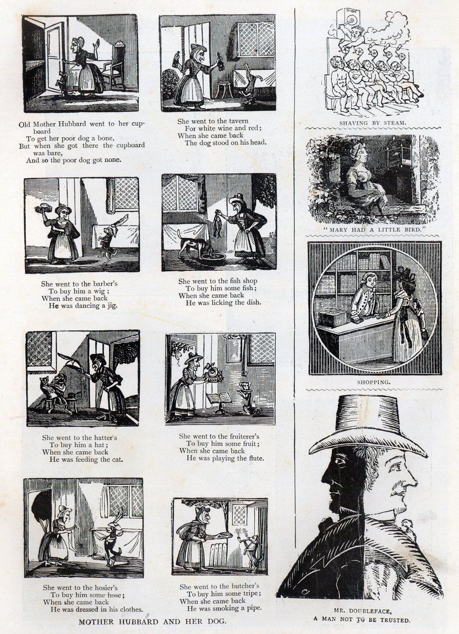 Illustrations du livre d