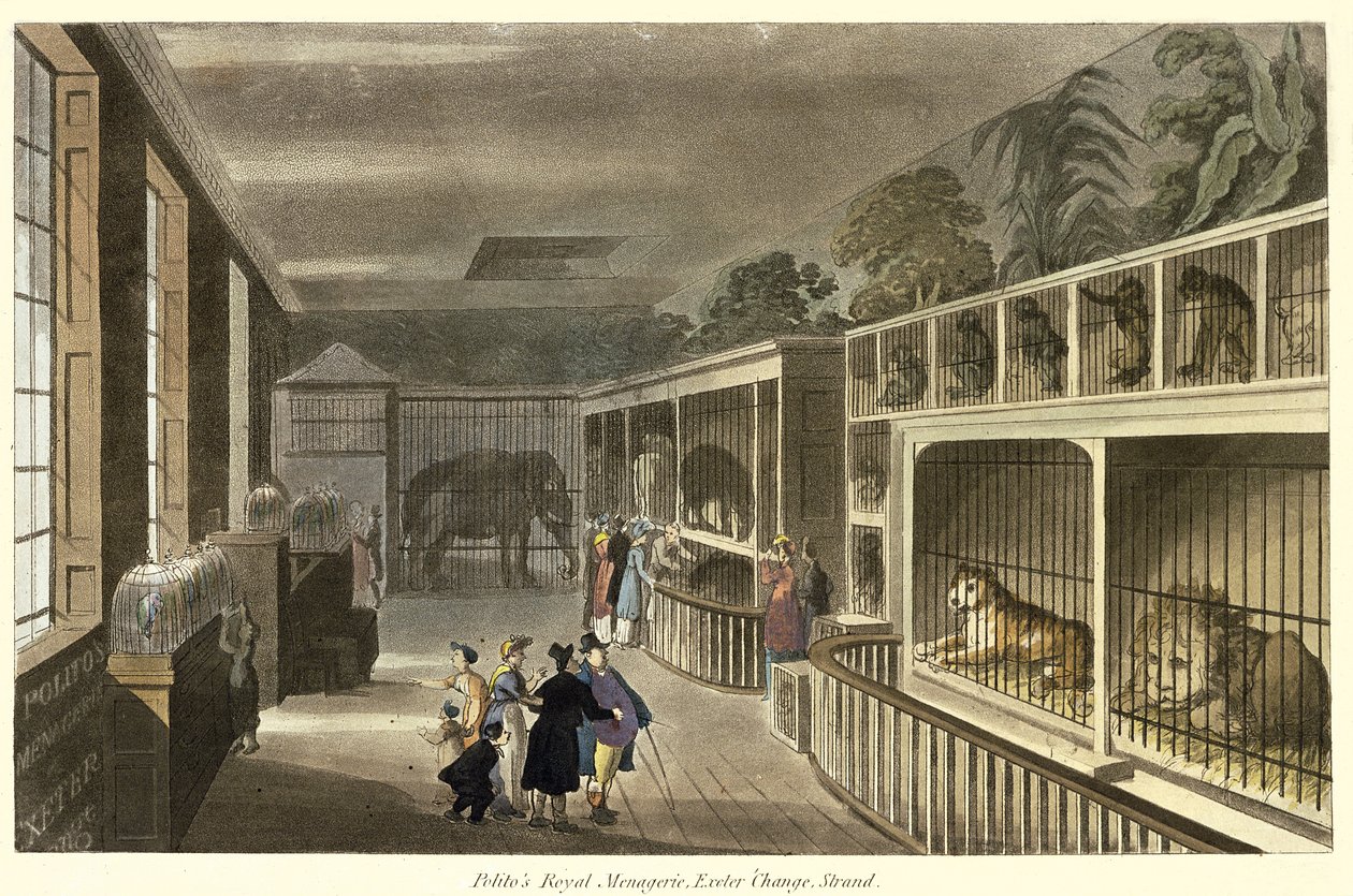 Vue intérieure de la ménagerie royale de Polito, Exeter Change, Strand, 1812 - English School