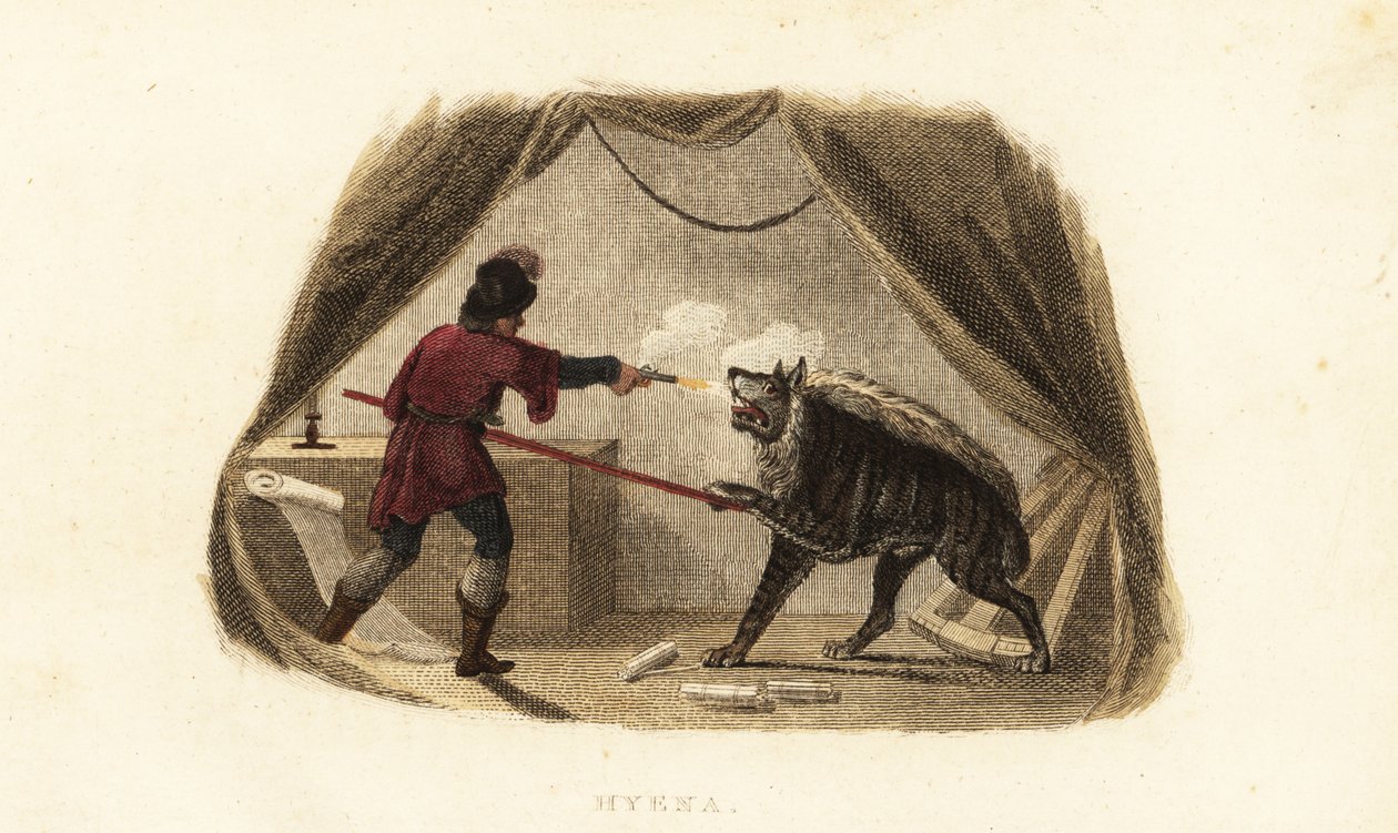 James Bruce tuant une hyène avec un pistolet et une lance dans sa tente à Maitsha, Abyssinie (près de Gondar, Éthiopie) - English School