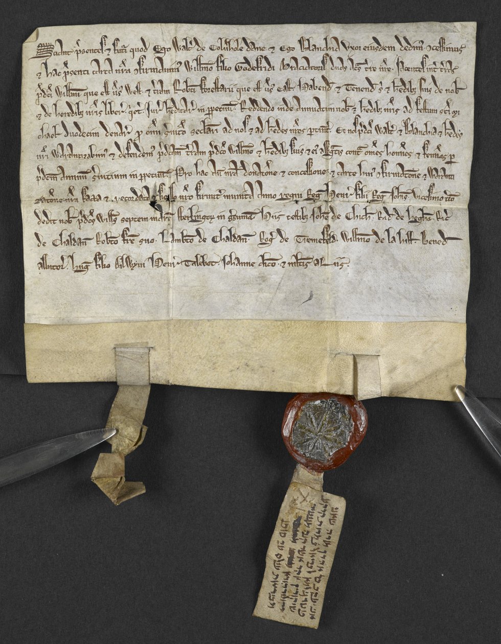 Acte en latin avec quitclaim en hébreu (joint au sceau), par Jacob ben Aaron cédant une terre à William le Briel. Angleterre - English School
