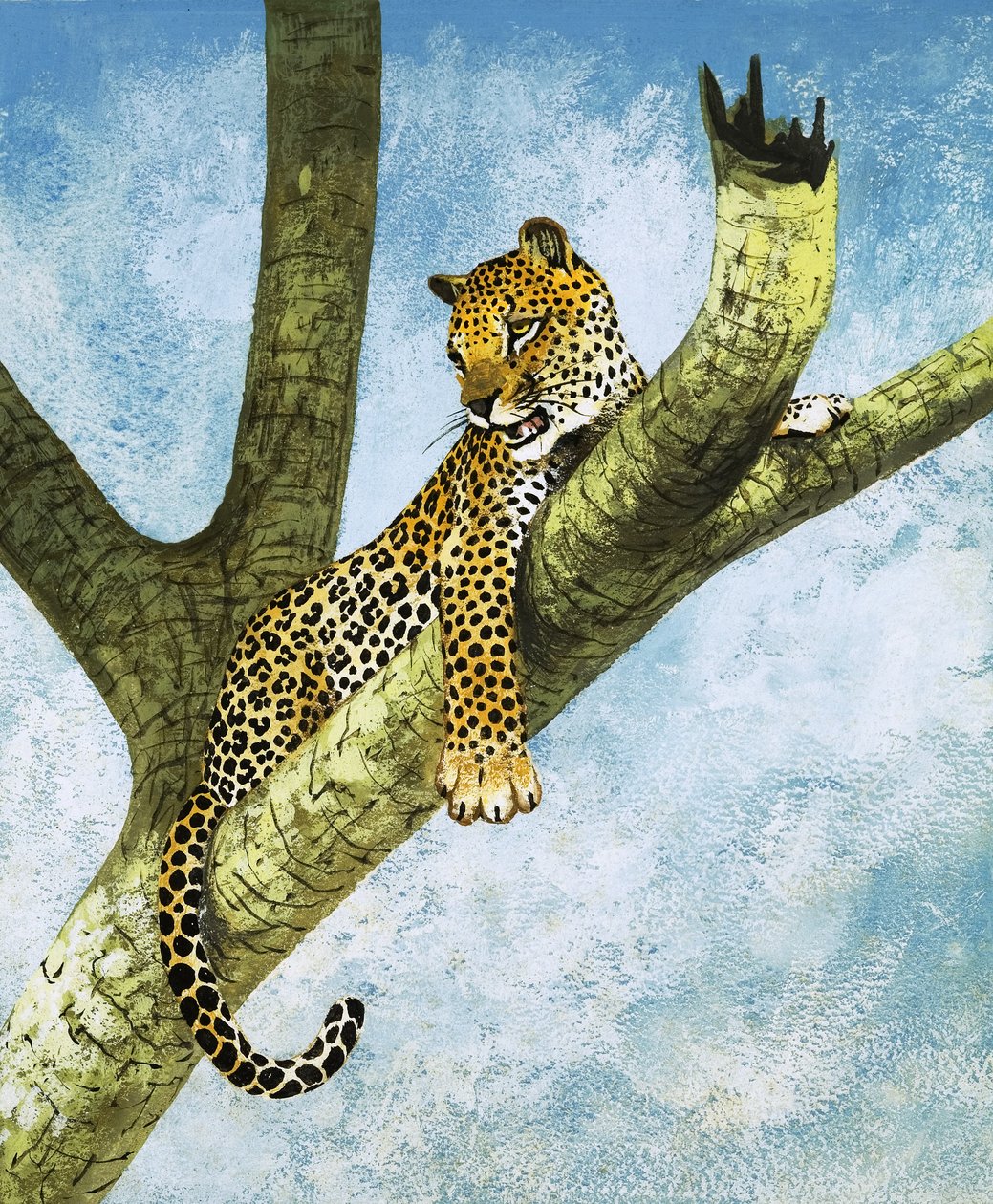 Léopard dans un arbre (gouache sur papier) - English School