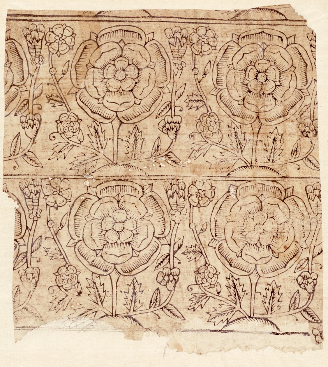Papier de doublure avec motif de Rose Tudor, vers 1550 - English School