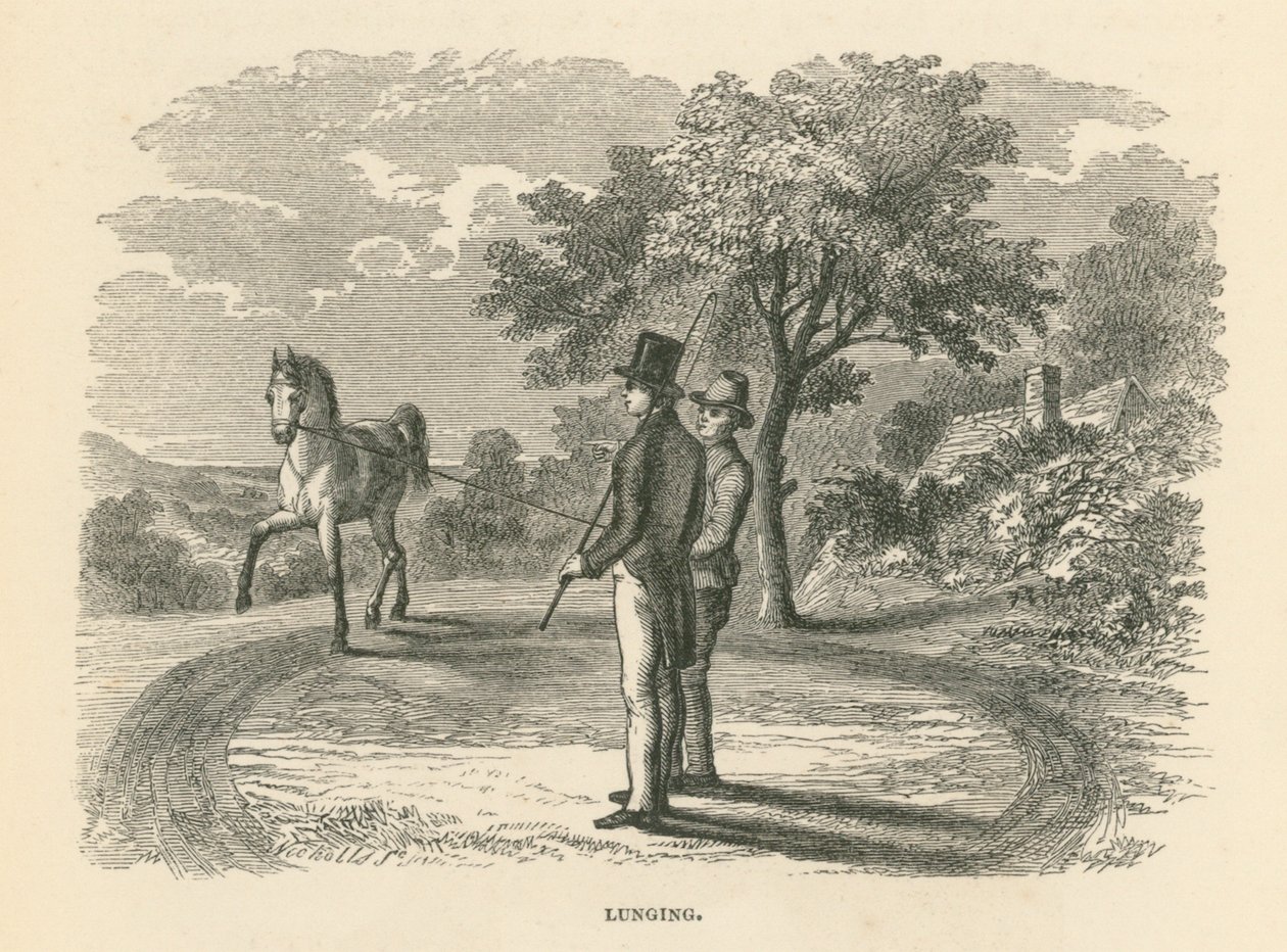 Lunging (gravure) - English School