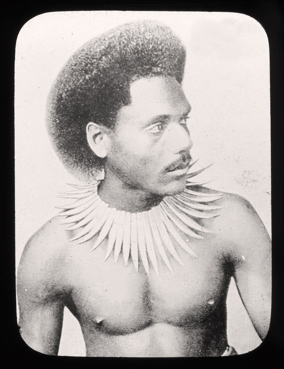 Diapositive de lanterne magique montrant un chef fidjien en costume traditionnel vers 1900 - English School