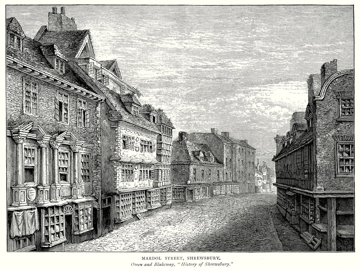 Mardol Street, Shrewsbury (gravure) - English School