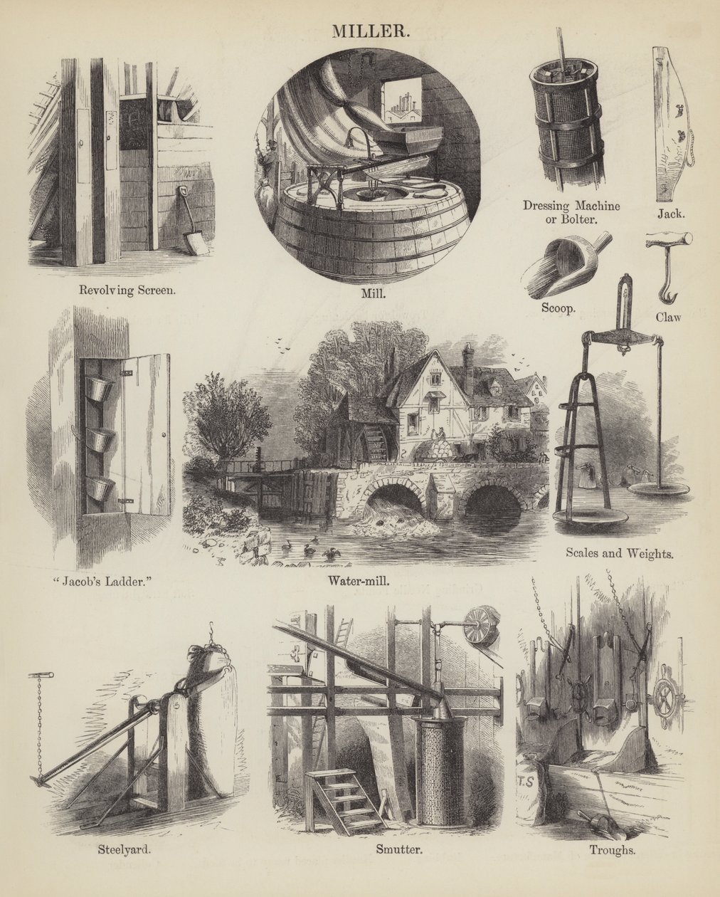 Miller (gravure) - English School