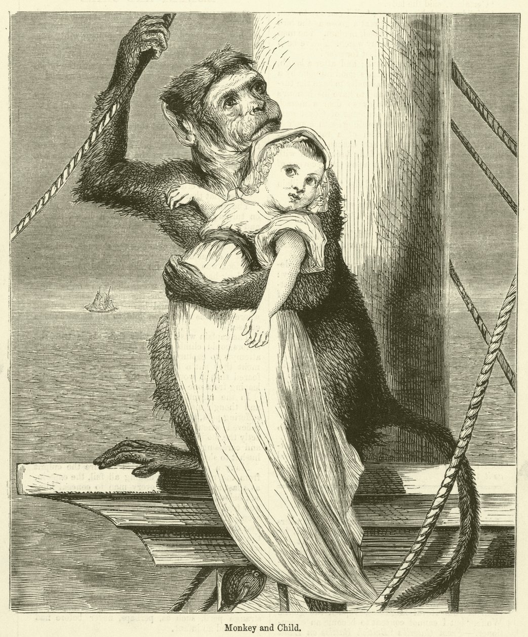 Singe et enfant (gravure) - English School