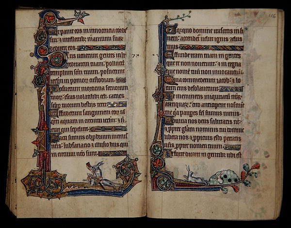 Ms 1-2005, ff.115v-116r : Chasse au lapin chevauchant un chien, décoration marginale du Psautier de Macclesfield, Usage de Sarum, East Anglia, vers 1330 - English School