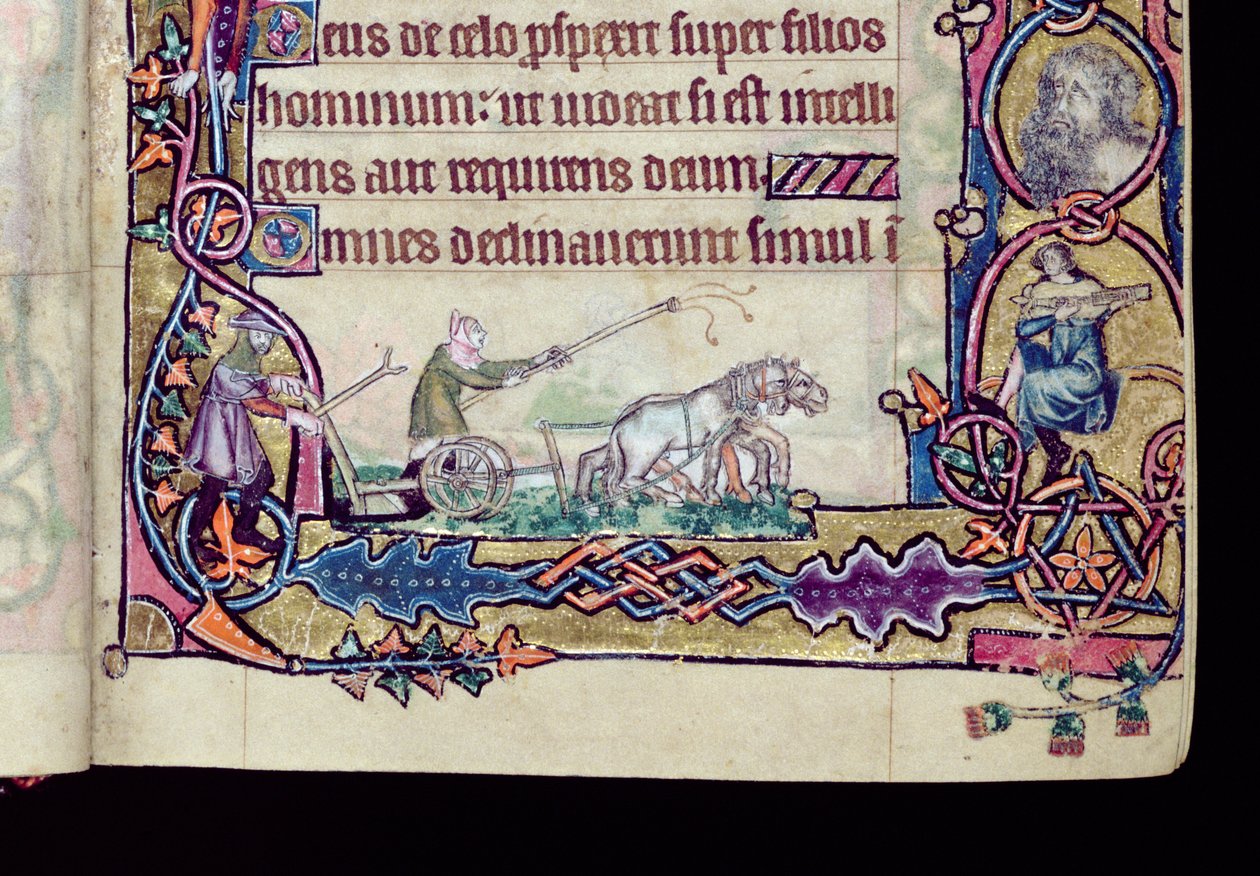 Ms 1-2005, ff.76v-77r : David et le fou, initiale historiée du Psautier de Macclesfield, Usage de Sarum, East Anglia, vers 1330 (détail) - English School