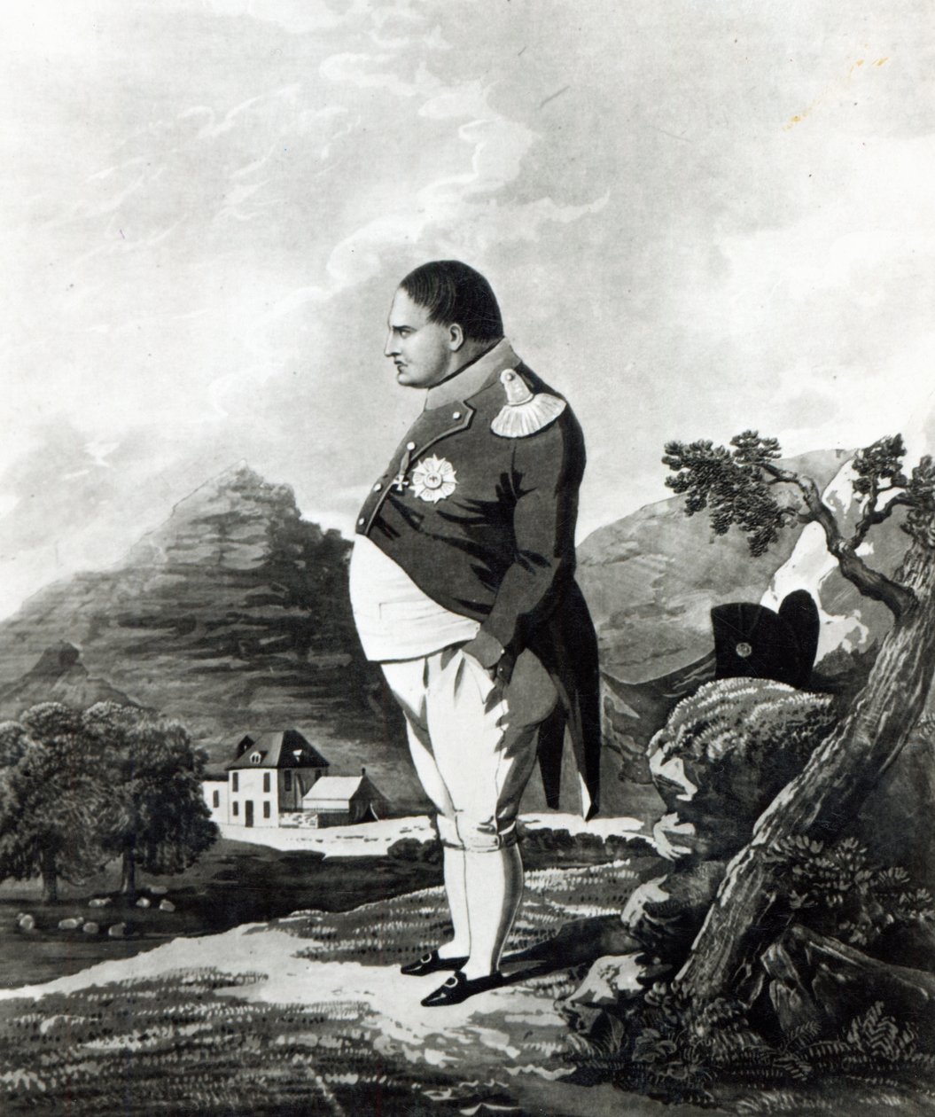 Napoléon sur l