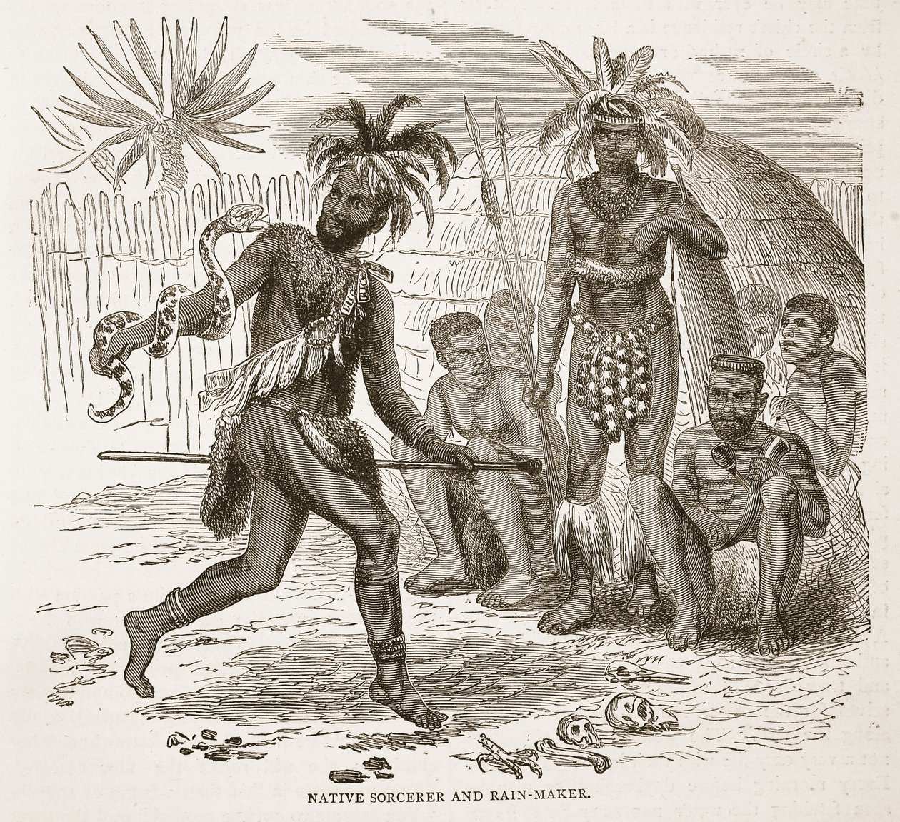 Sorcier et faiseur de pluie indigène, illustration de l