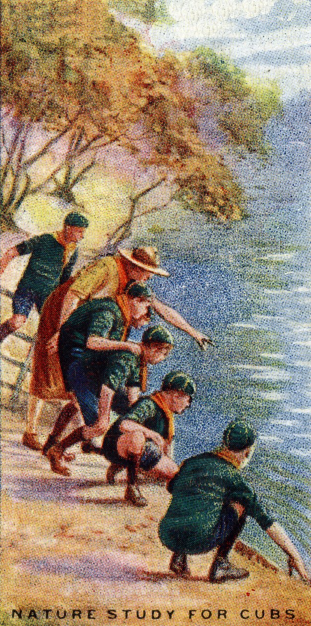 Étude de la nature pour louveteaux, 1929 - English School