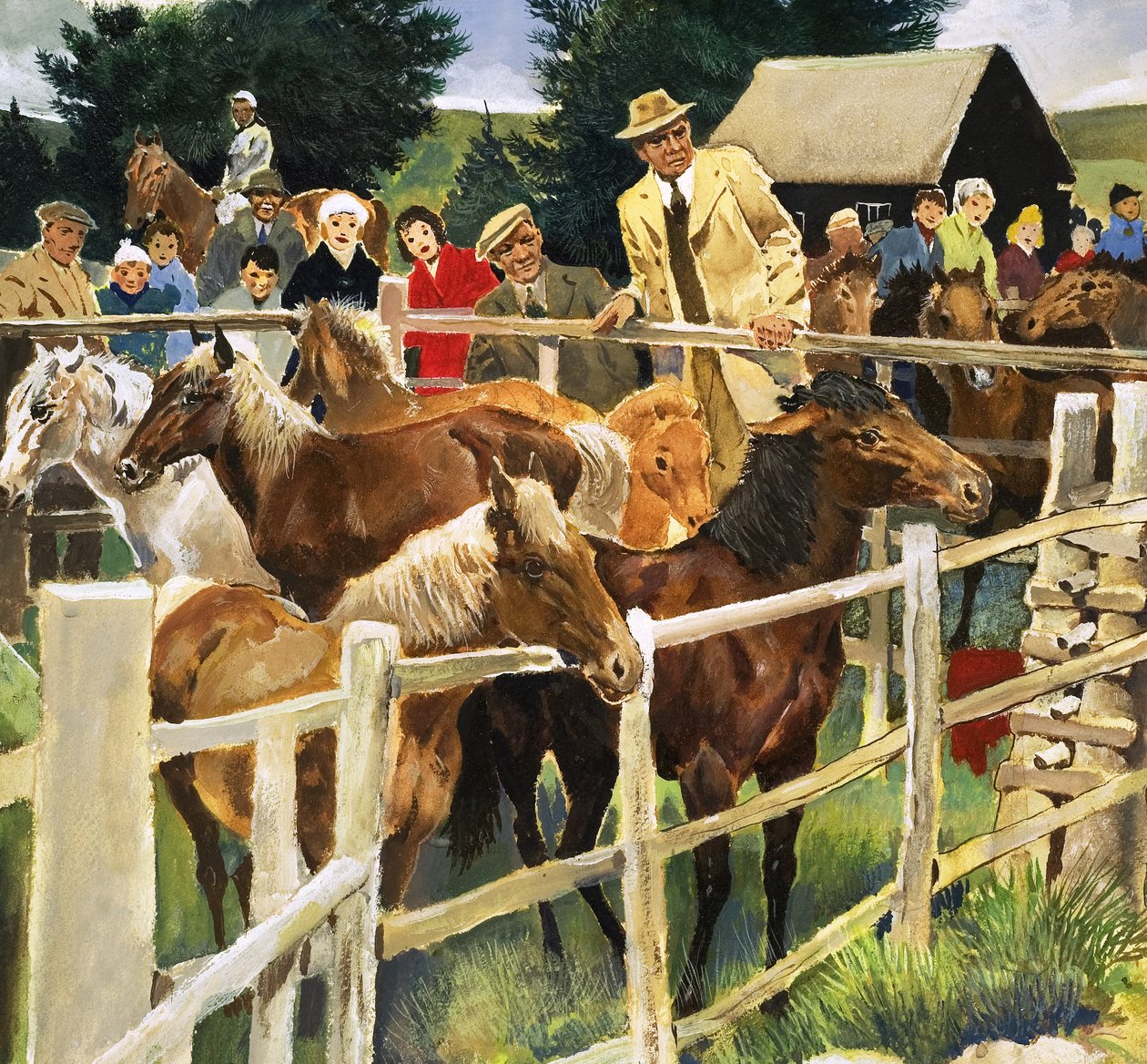 Poneys de la Nouvelle Forêt à vendre, illustration tirée de "Wonders of Nature" (Merveilles de la nature) - English School