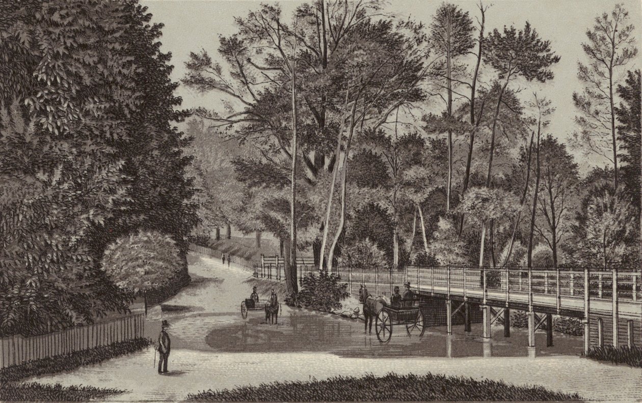 Newbury : Sandleford Water (litho) - English School