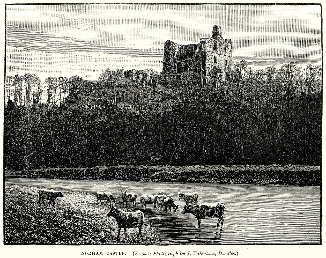 Château de Norham (gravure) - English School
