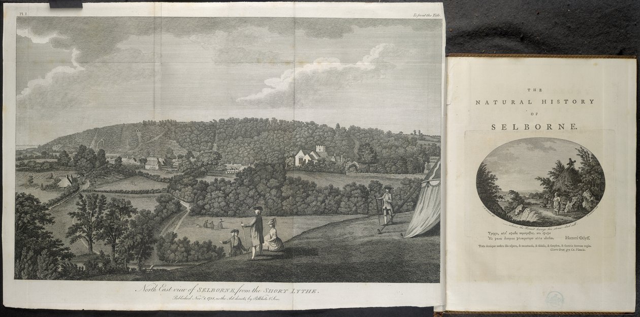 Vue nord-est de Selbourne | English School | Estampe d'art