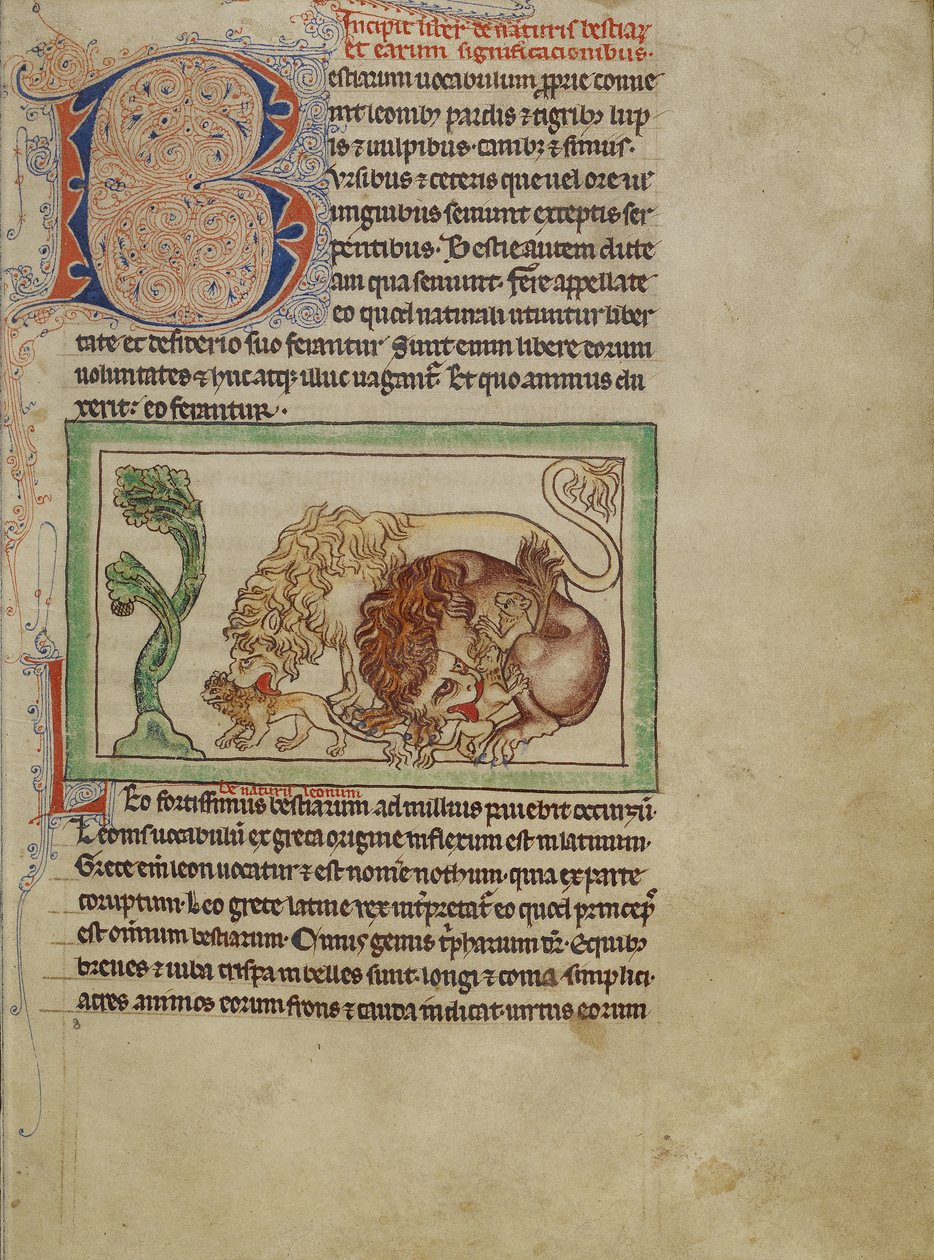 Bestiaire de Northumberland, vers 1250-60 - English School