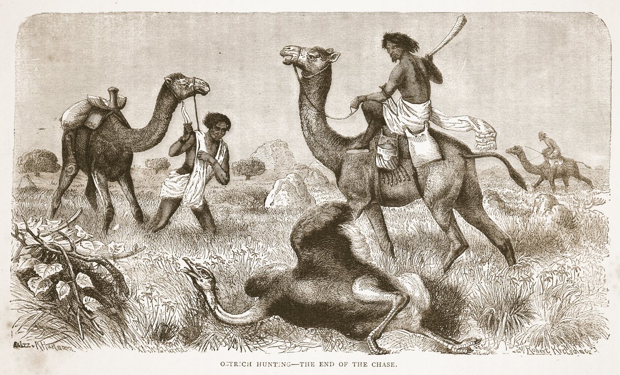 Chasse à l