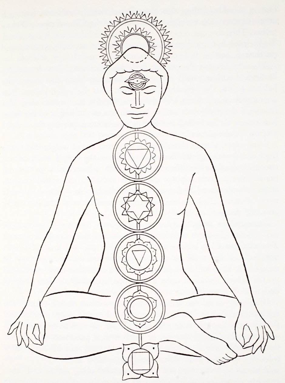 Padmasana ou position du lotus - English School