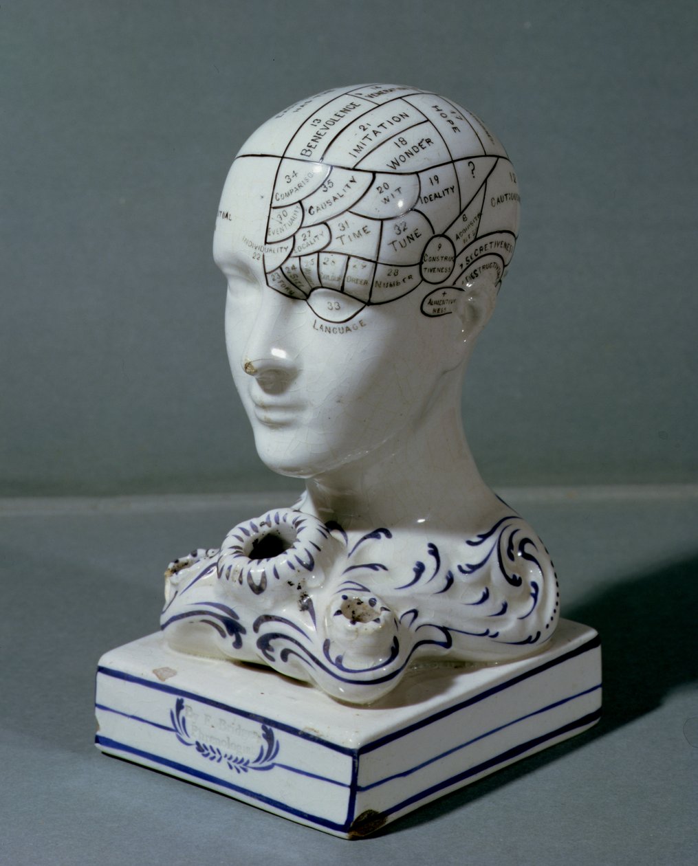 Tête phrénologique par le Dr Frederick Bridges - English School