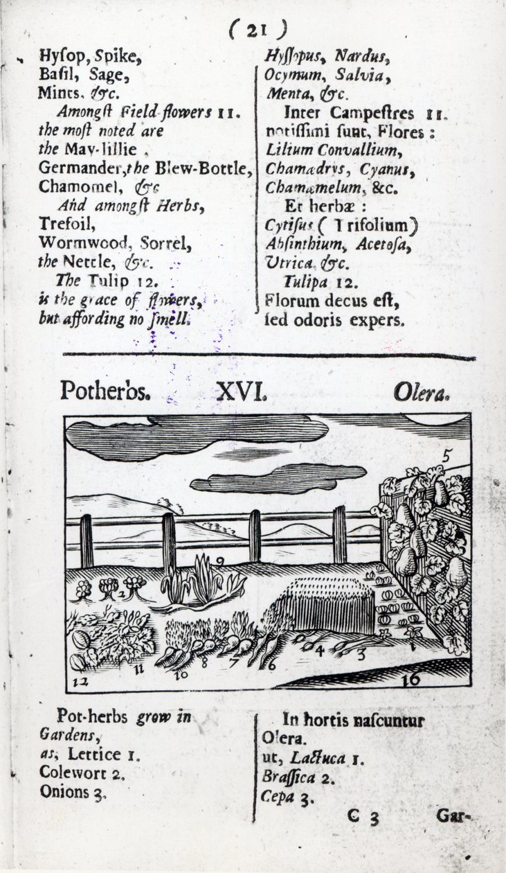Agriculture tirée de 