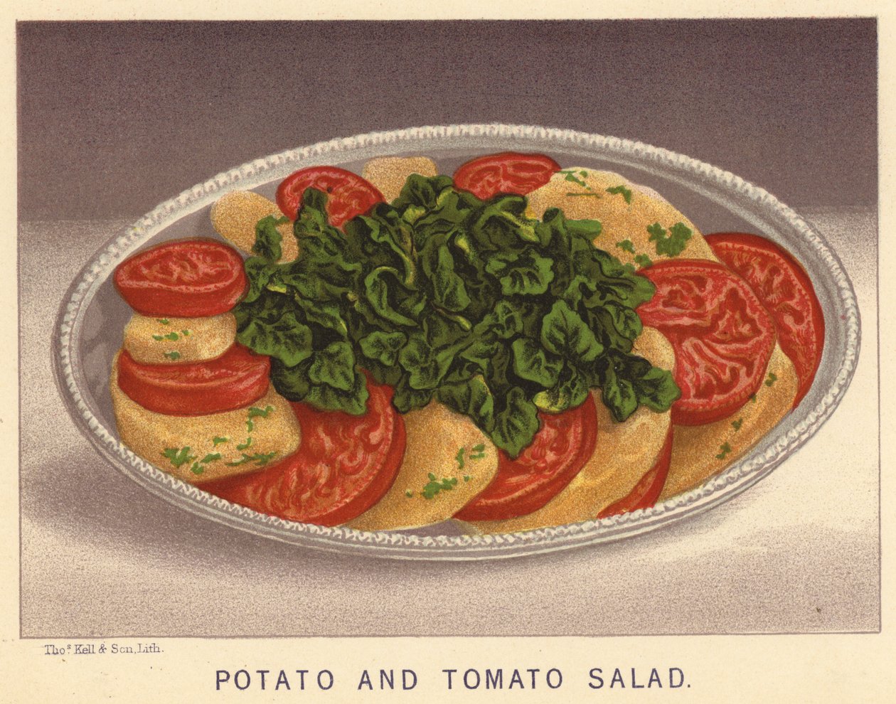 Salade de pommes de terre et de tomates (lithographie couleur) - English School