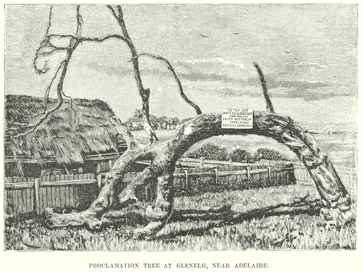 Arbre de la proclamation à Glenelg, près d