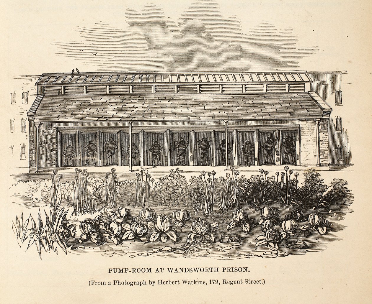 Salle des pompes à la prison de Wandsworth, illustration de The Criminal Prisons of London and Scenes from Prison Life par Henry Mayhew et John Binny, pub. 1862 - English School