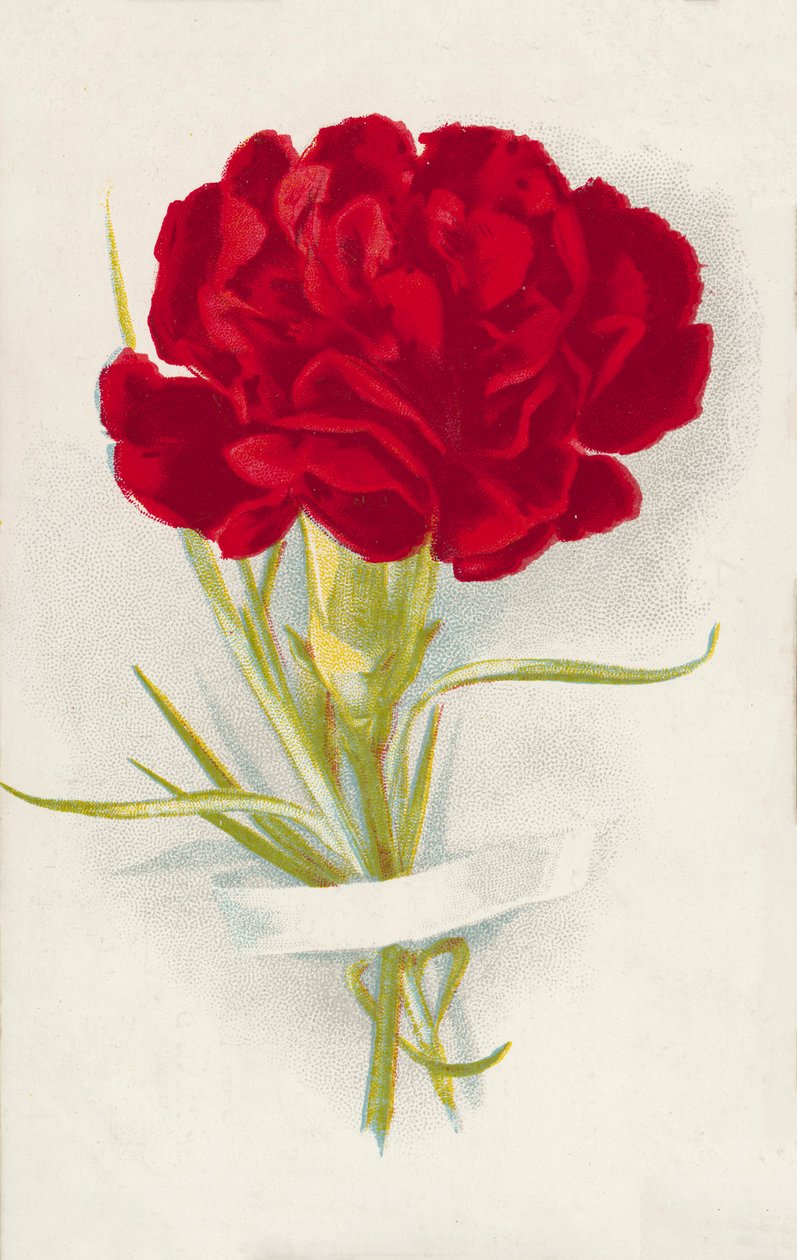 Œillet rouge (chromolitho) - English School