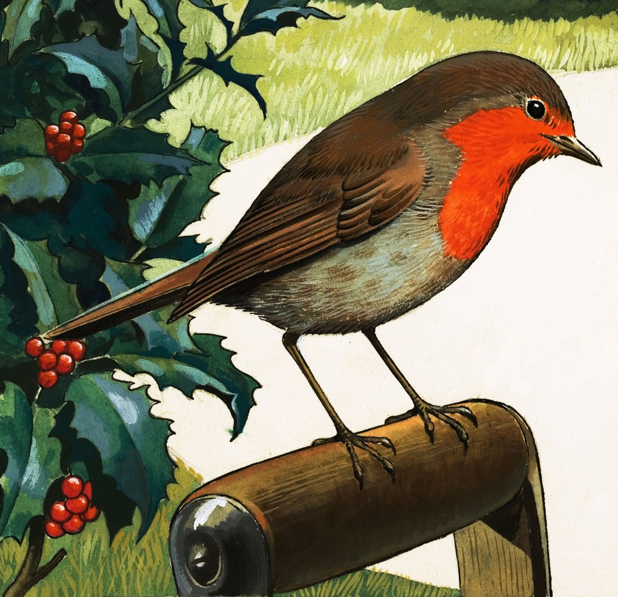 Rouge-gorge (gouache sur papier) - English School