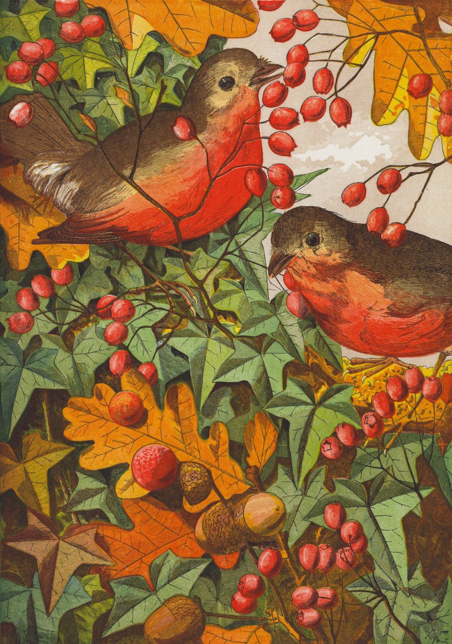 Merles (lithographie couleur) - English School
