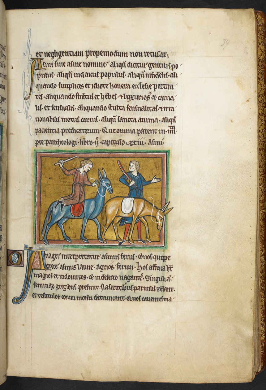 Deux hommes avec deux ânes, de Bestiaire (ff. 3-141), Lapidaire (ff. 141v-149), 2e quart du 13e siècle (vélin) - English School