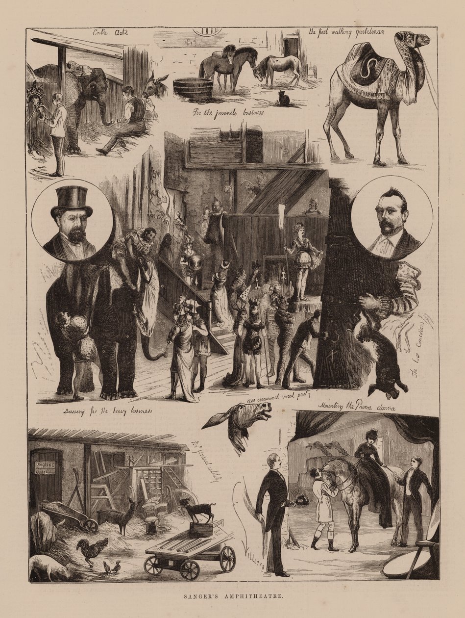 Amphithéâtre de Sanger (gravure) - English School